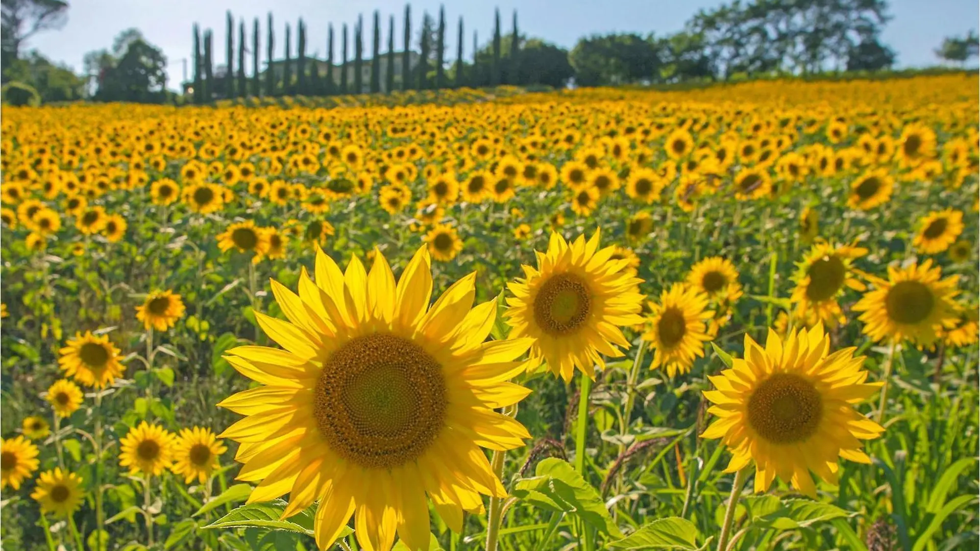 Apartmán Agriturismo Le Cannelle Pieve di Santa Luce Itálie